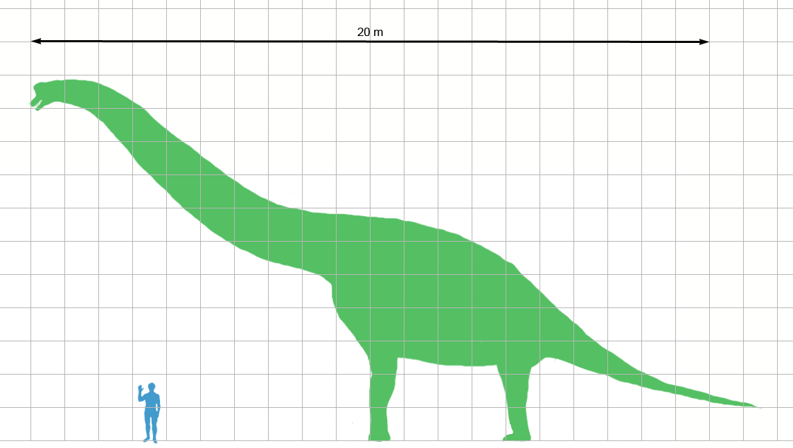 Sauroposeidon-scale.png