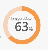 Activite11.1 tanaguru meter