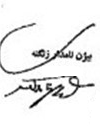 Firma di Bijan Namdar Zangeneh