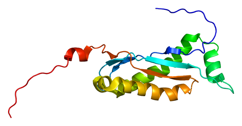 Protein_FLOT2_PDB_1win.png