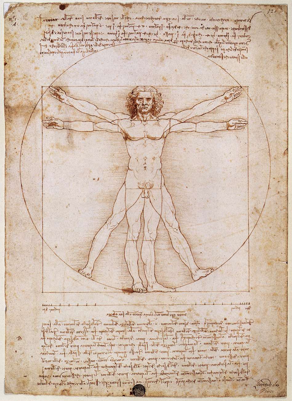 Hombre de Vitruvio, por Da Vinci.
