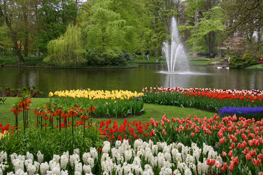 Los Jardines de Keukenhof, Naturaleza-Holanda (4)