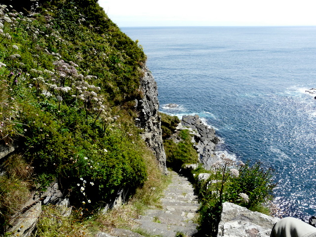 Whaligoe Steps