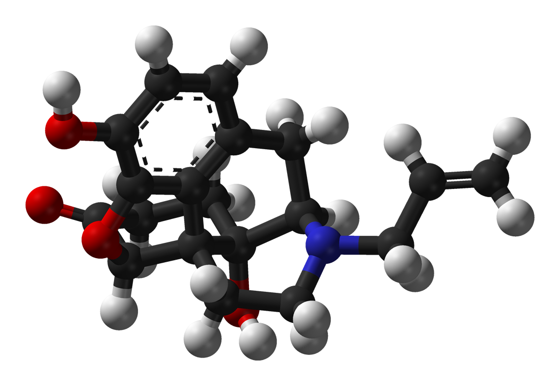 http://upload.wikimedia.org/wikipedia/commons/1/19/Naloxone-3D-balls.png