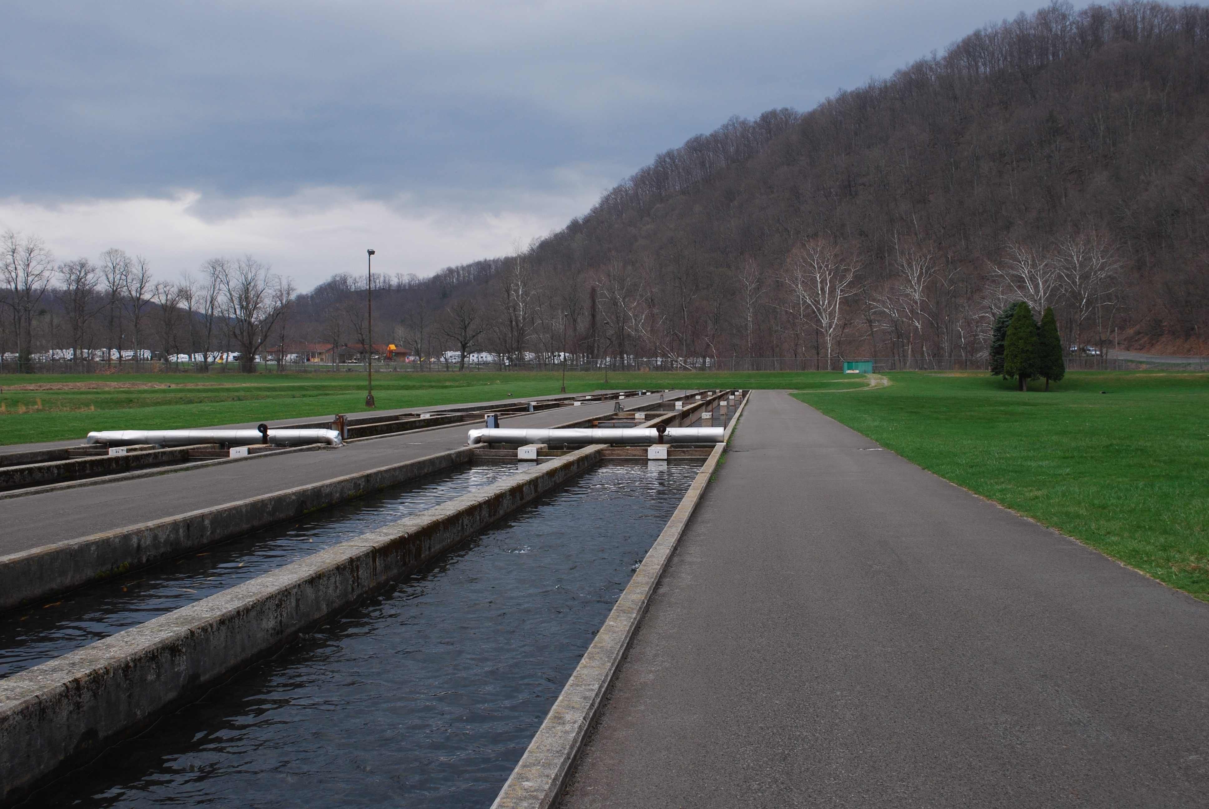 Description Bowden Fish Hatchery.jpg