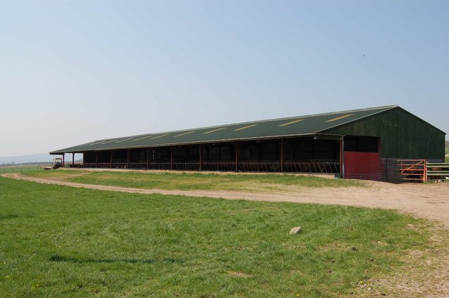 Cattle Sheds