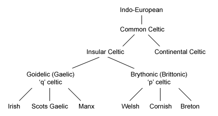 Indo-european to Insular Celtic flowchart