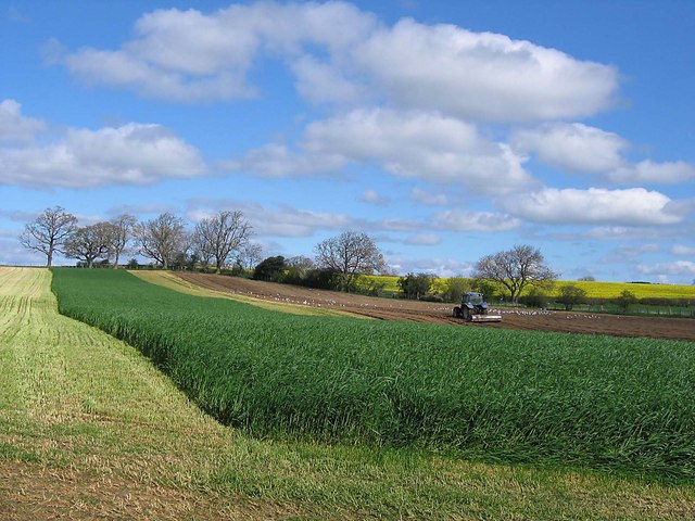 Tractor Rolling