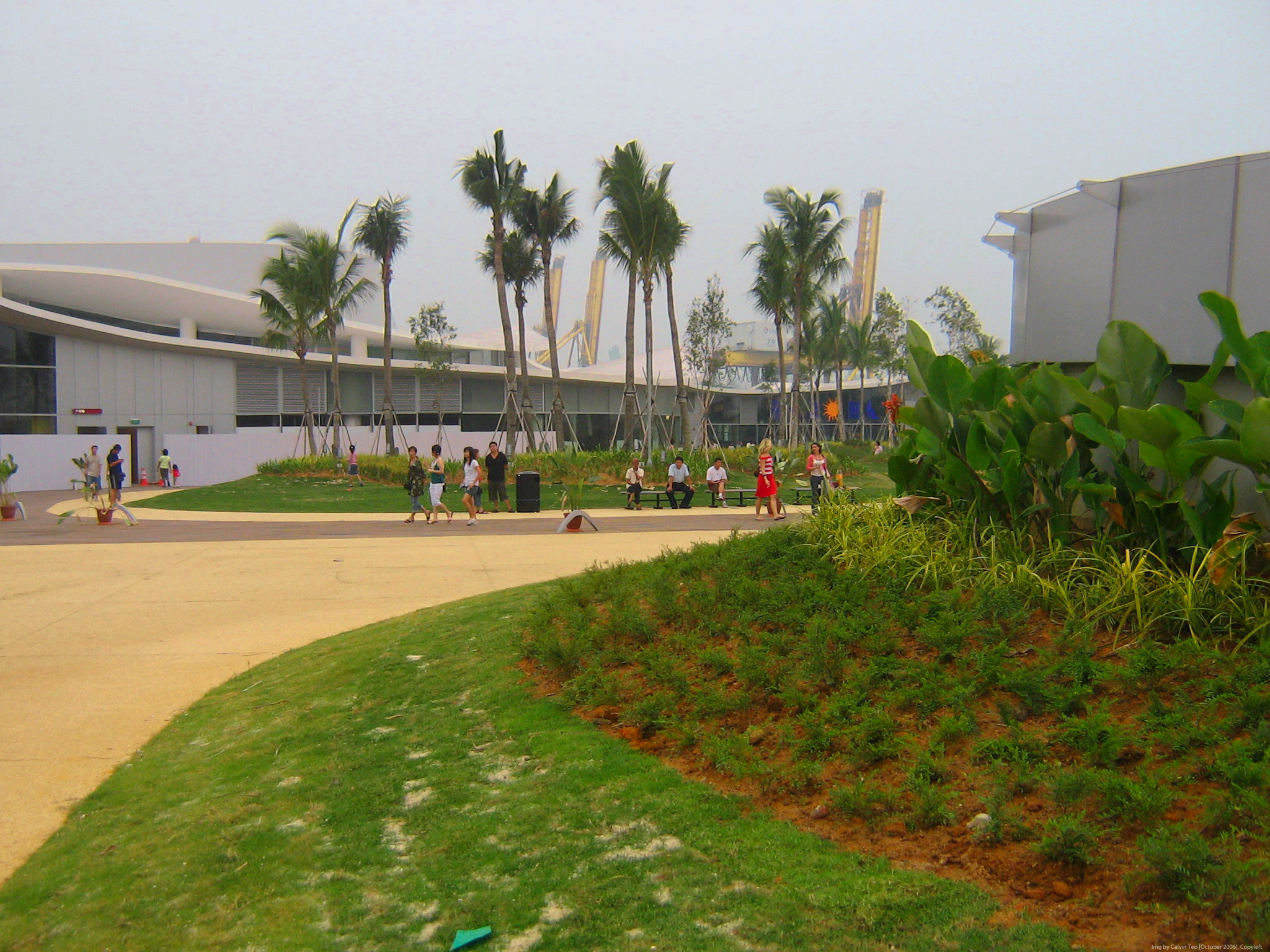 Roof Garden