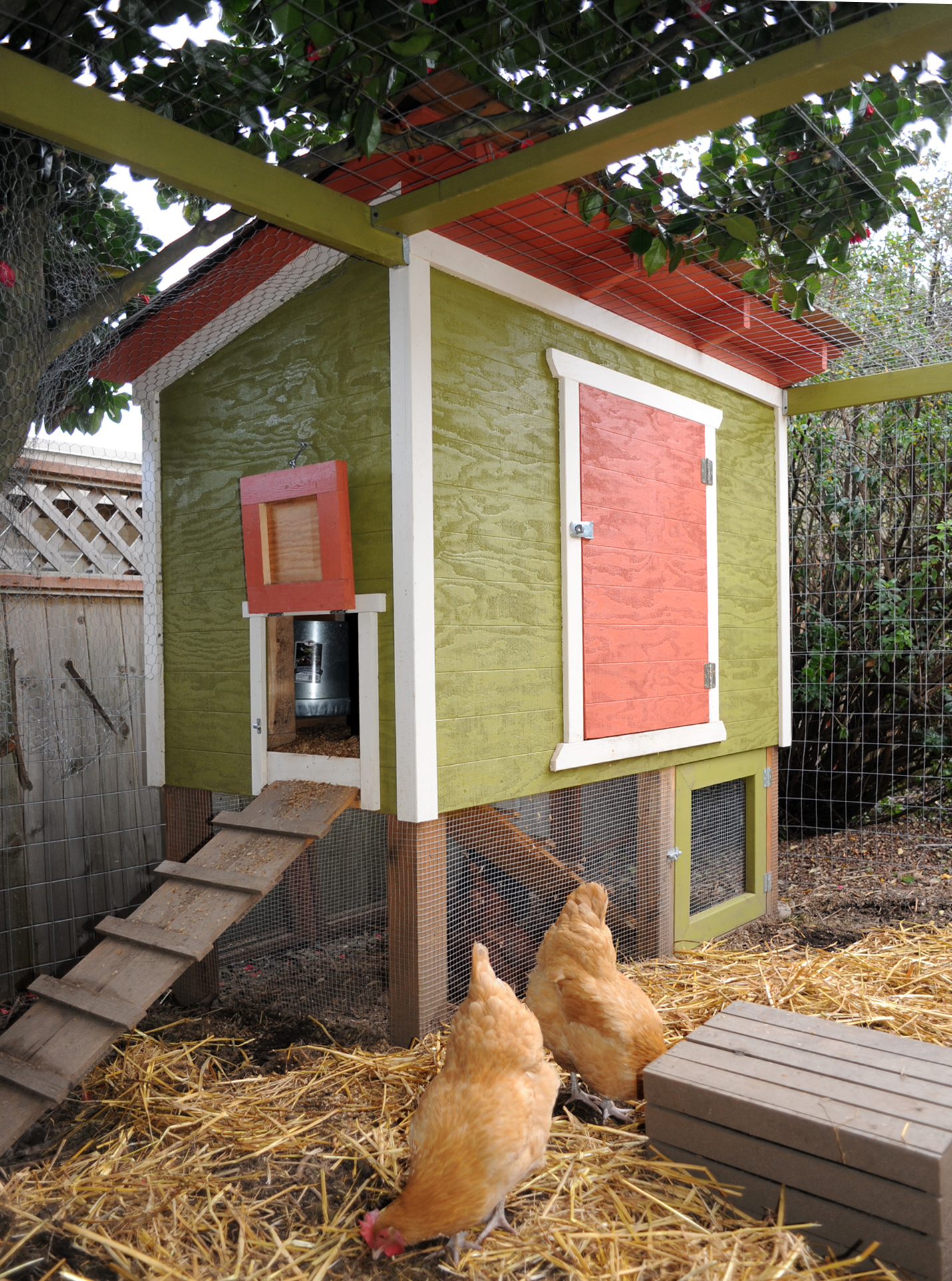 Description Seattle Chicken Coop and 2 Hens.jpg