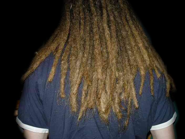 Backcombed Dreadlocks