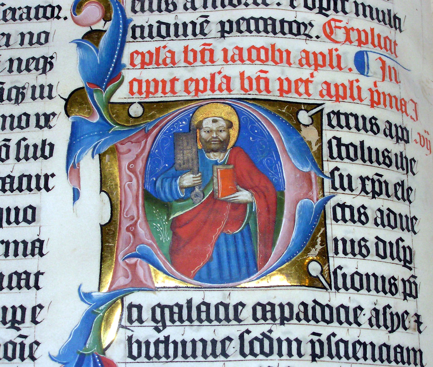 An example of an illuminated manuscript. This example is a close up of the illuminated letter P in the 1407AD Latin Bible on display in Malmesbury Abbey, Wiltshire, England. It was hand written in Belgium, by Gerard Brils.