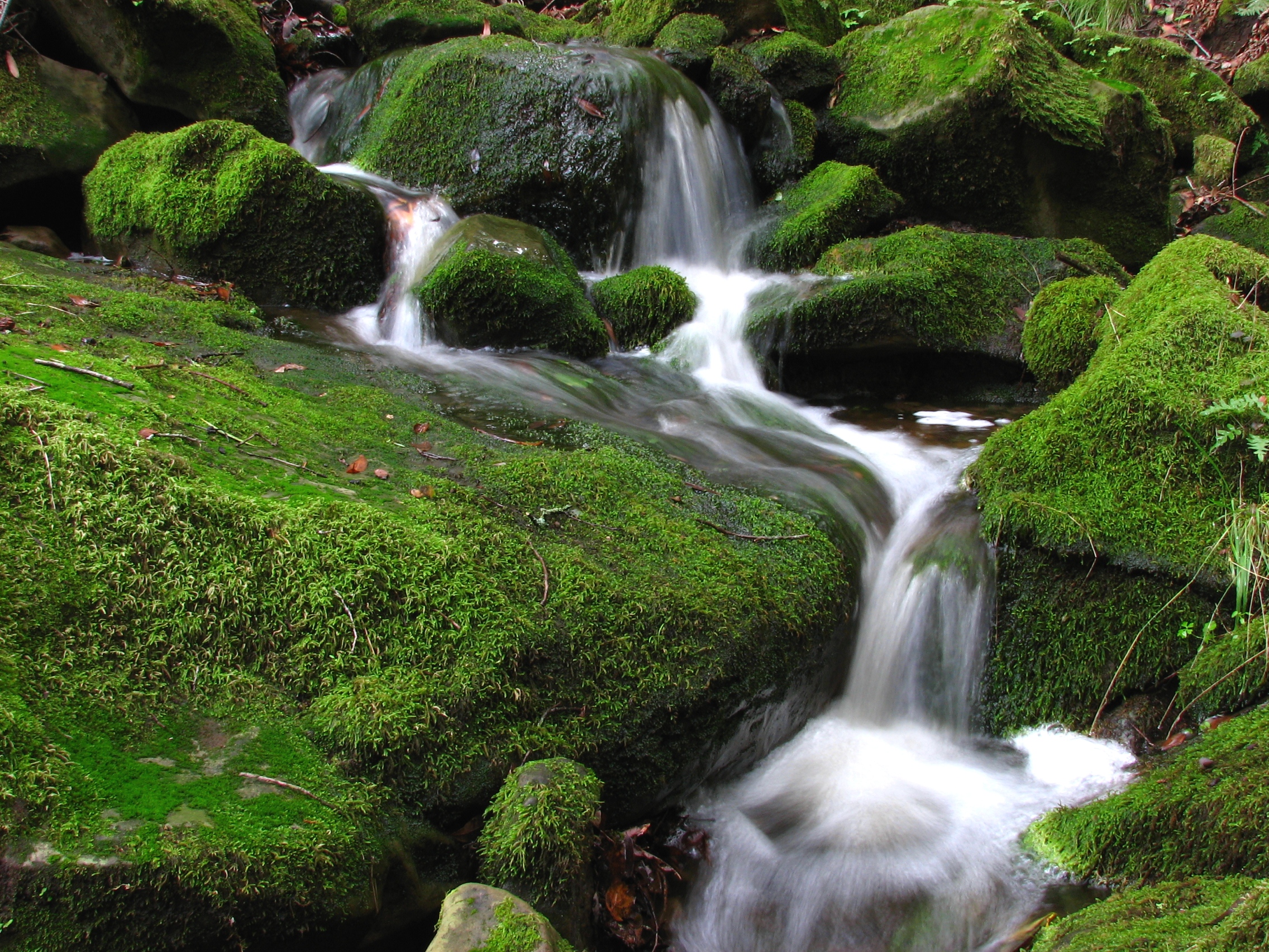 Download this Description Las Trandas Waterfall picture