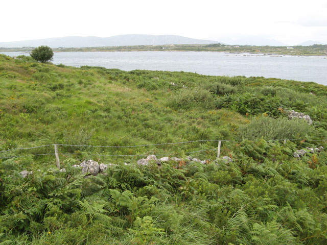 Bracken and brush - geograph.org.uk - 1495065.jpg