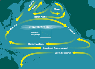 North Pacific Subtropical Convergence Zone Previously Secret 1955 Government Report Concluded that Ocean May Not Adequately Dilute Radiation from Nuclear Accidents