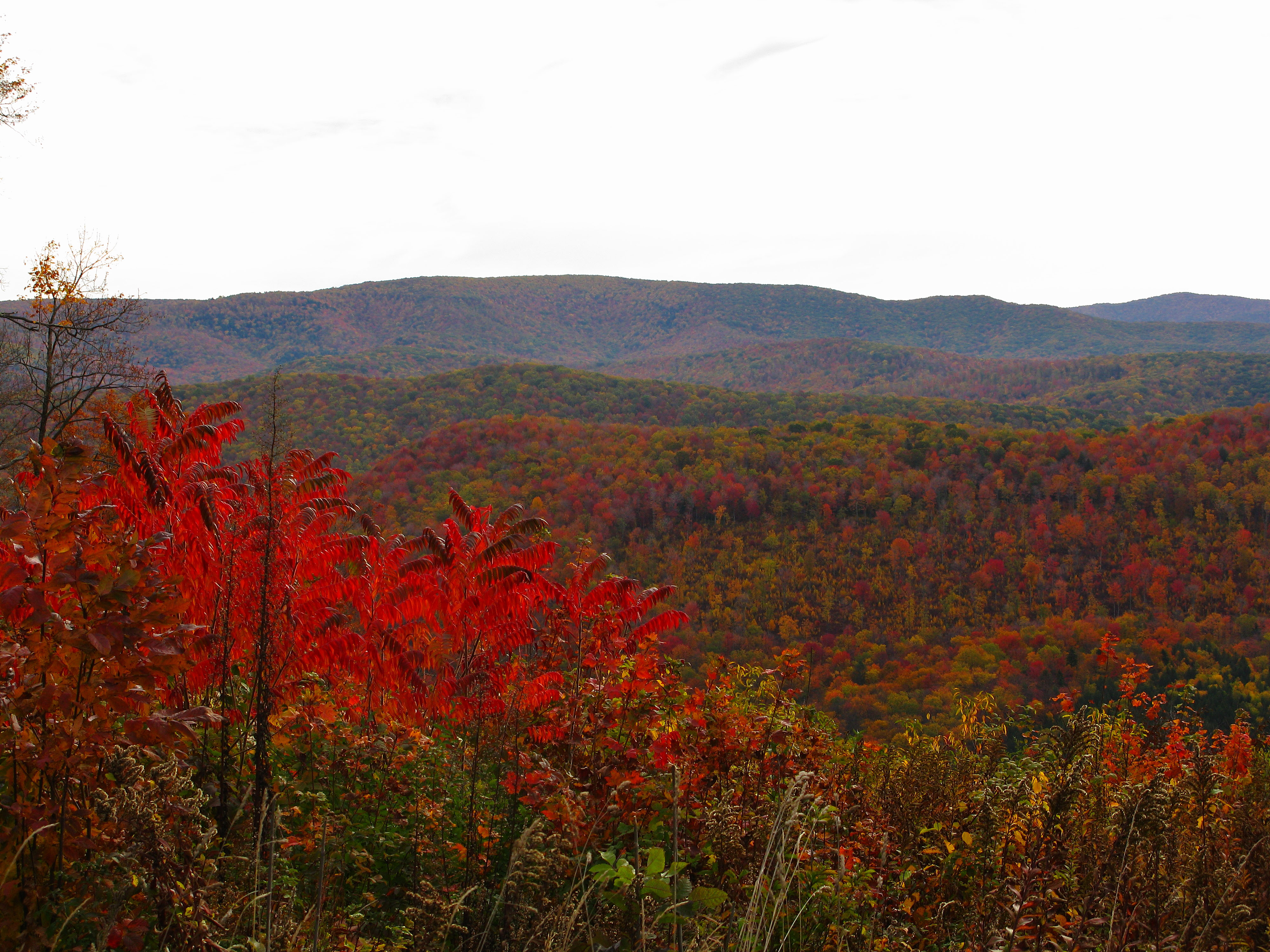 Mountains Of Virginia