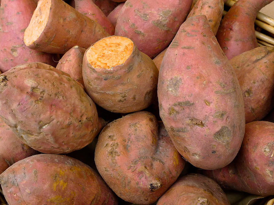 Sweet potato