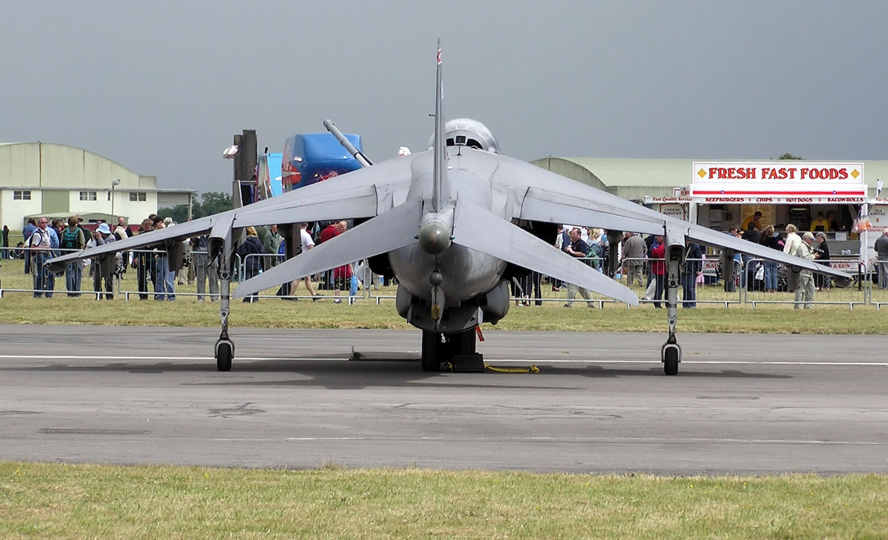 Anhedral_on_harrier_arp.jpg