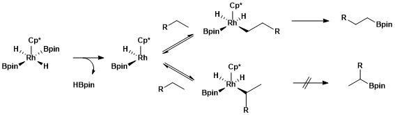 Mechanismy alifatických C–H borylací