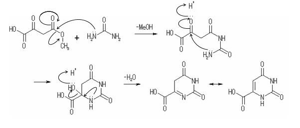 Oroto acidの合成反応