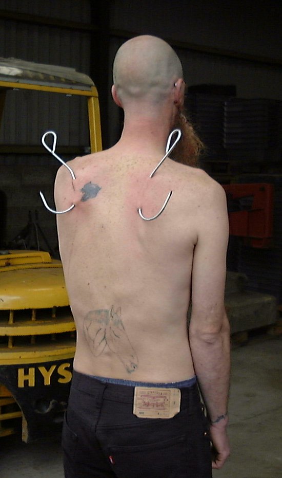 body suspension hooks