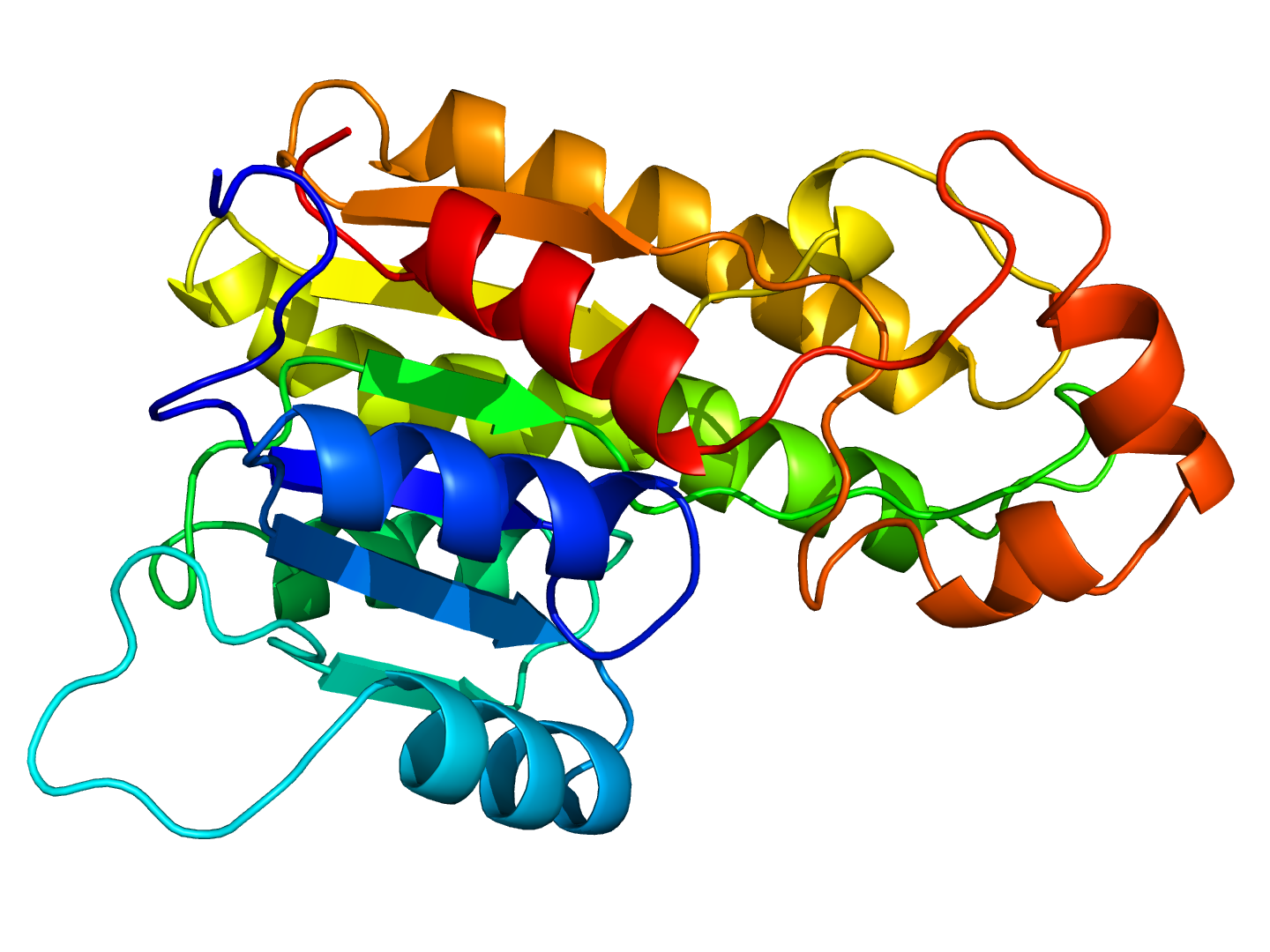 Protein Ligand Docking Program Gold