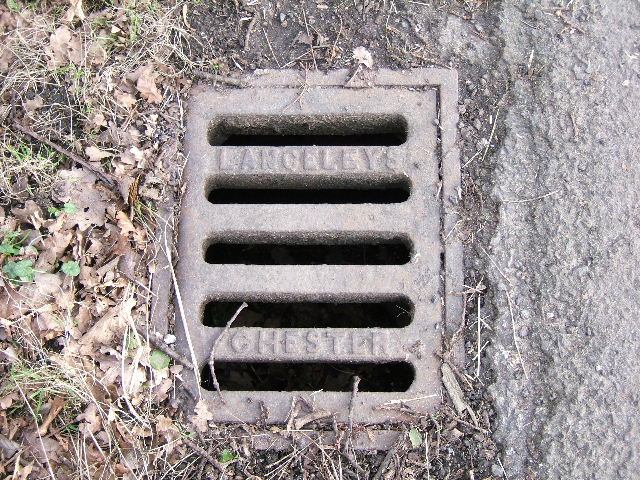 The Drain