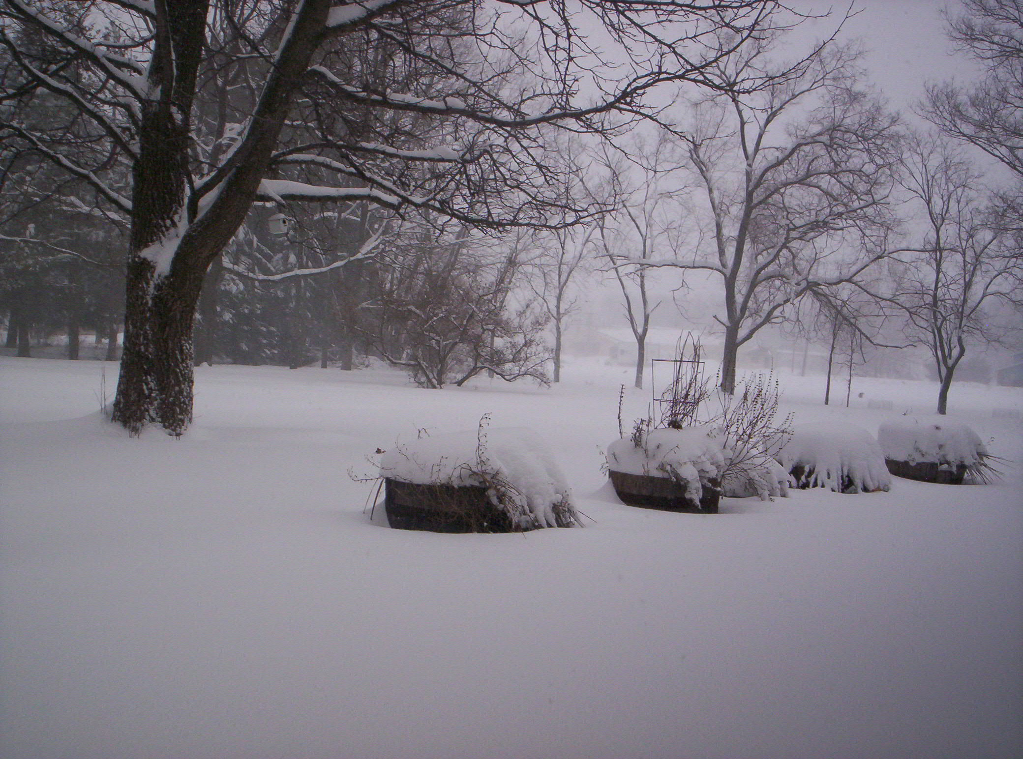 FileNorth Central Ohio snow storm.JPG Wikimedia Commons