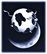 A Spherical Cow Jumps Over The Moon - so all steaks are round