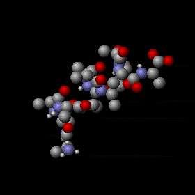 Figura 1. Movimiento térmico de un péptido tipo hélice-α. El movimiento vibratorio es aleatorio y complejo, y la energía de un átomo en particular puede fluctuar ampliamente. Sin embargo, el teorema de equipartición permite que se pueda calcular la energía cinética promedio de cada átomo, como también las energías potenciales promedio de muchos modos vibracionales. Las esferas grises, rojas y azules representan átomos de carbono, oxígeno y nitrógeno, respectivamente; las esferas blancas más pequeñas representan átomos de hidrógeno.