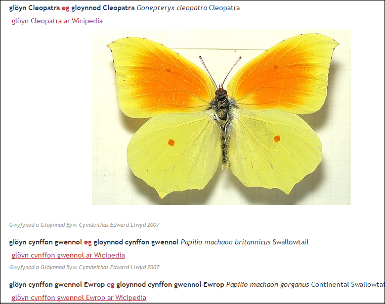 Ciplun o wefan Cymdeithas Edward Llwyd; Mai 2016.