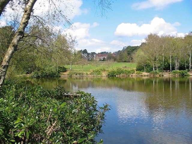 Lake_at_Avon_Tyrell_Activity_Centre_-_geograph.org.uk_-_82689.jpg