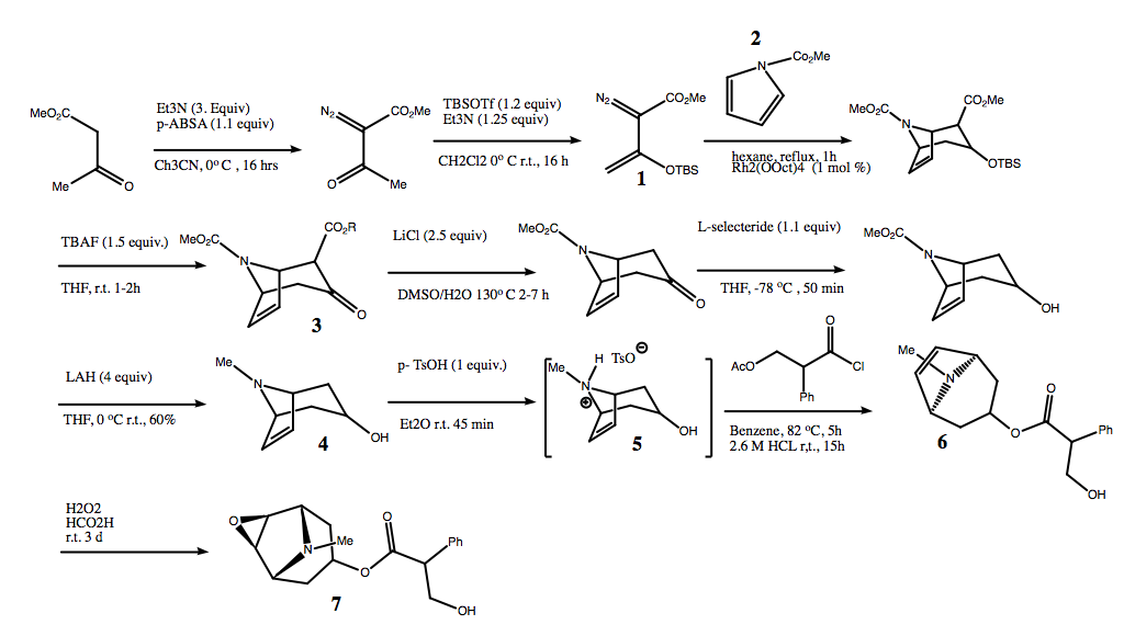 A chemical synthesis of scopolamine.