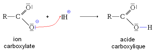 Réaction acide-base conjuguée de l'acide carbox.GIF
