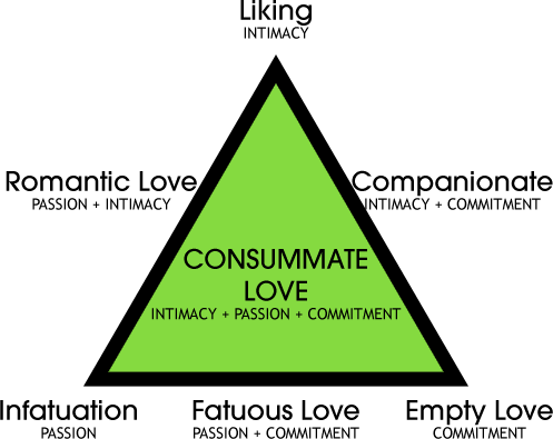 sternbergs triangular theory of love