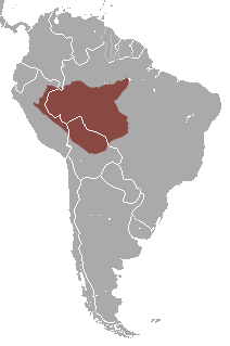 Distribuição geográfica do Macaco-aranha-peruano.