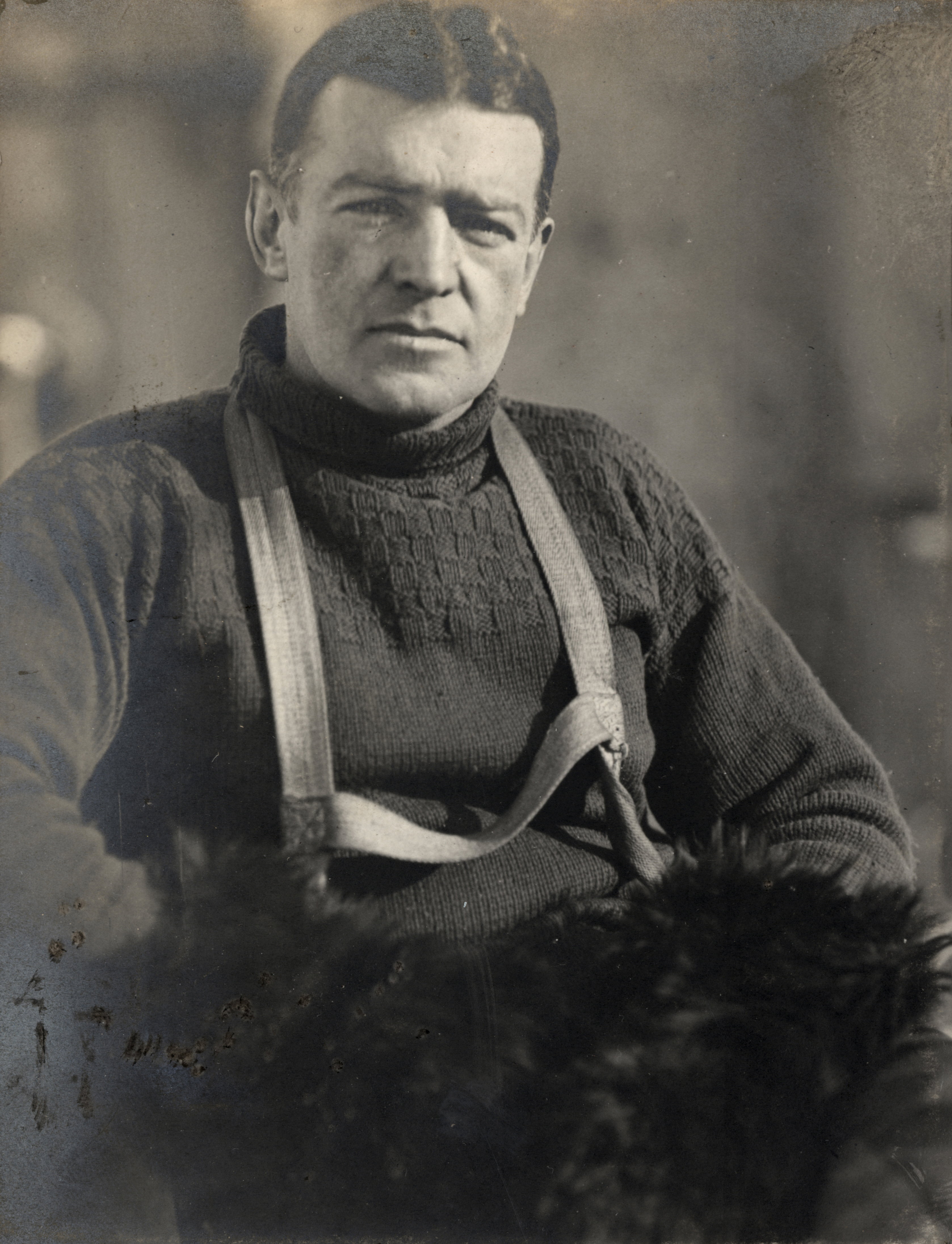 Photo  du portrait de Shackleton