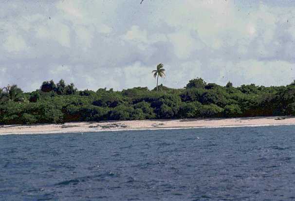 bikini atoll. File:Beach at Bikini Atoll.jpg