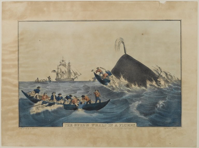 http://upload.wikimedia.org/wikipedia/commons/2/28/Brooklyn_Museum_-_The_Sperm_Whale_in_a_Flurry_-_Nathaniel_Currier.jpg