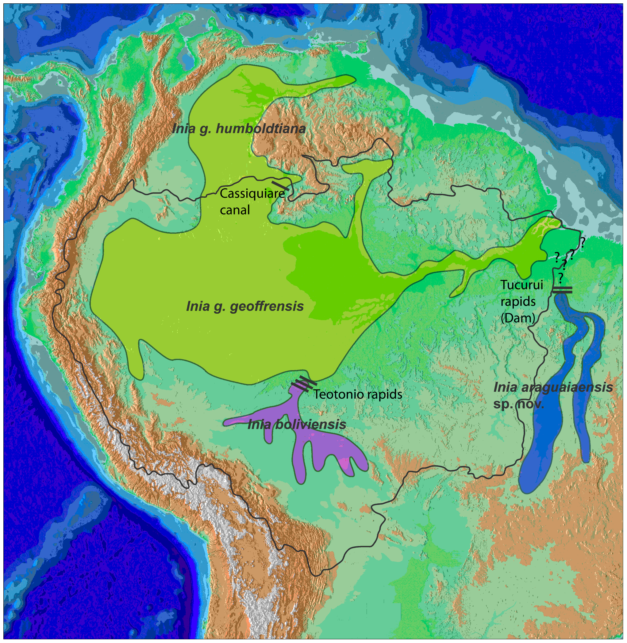 Archivo:Cetacea range map Amazon River Dolphin.PNG