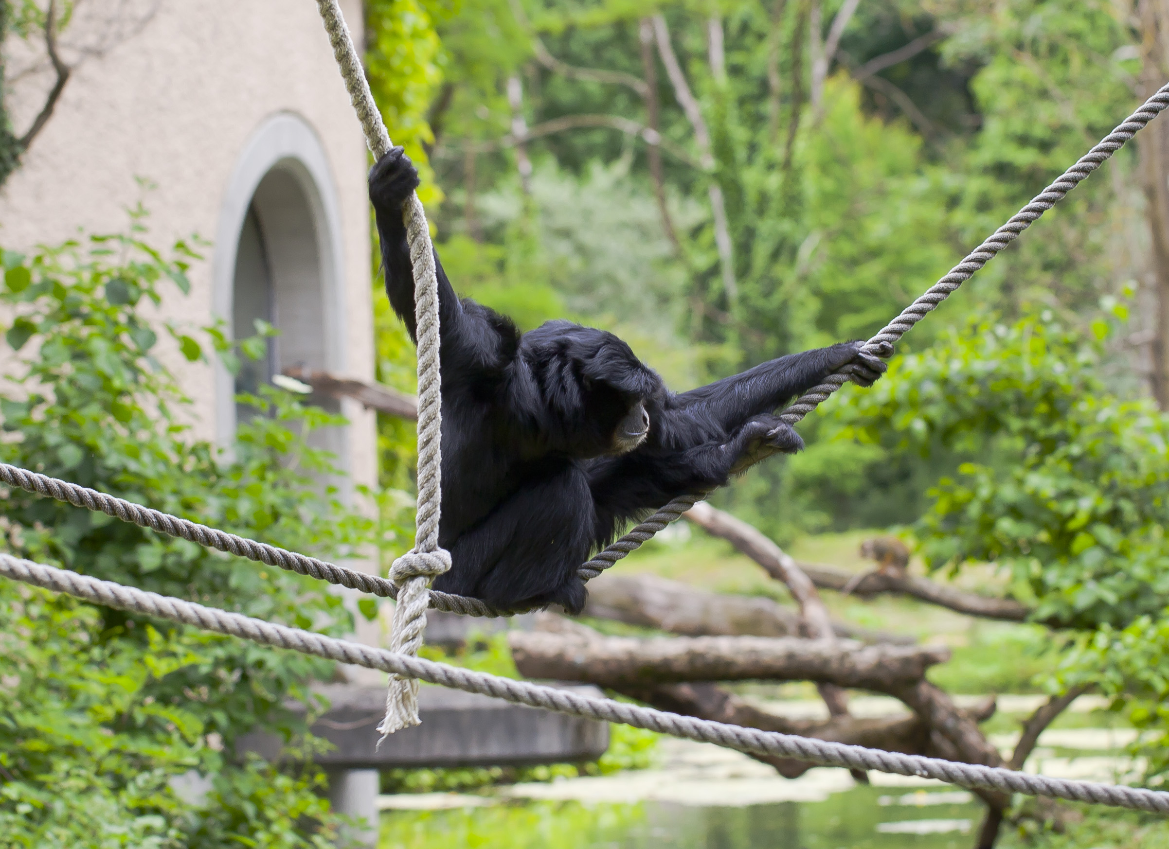 hellabrunn zoo