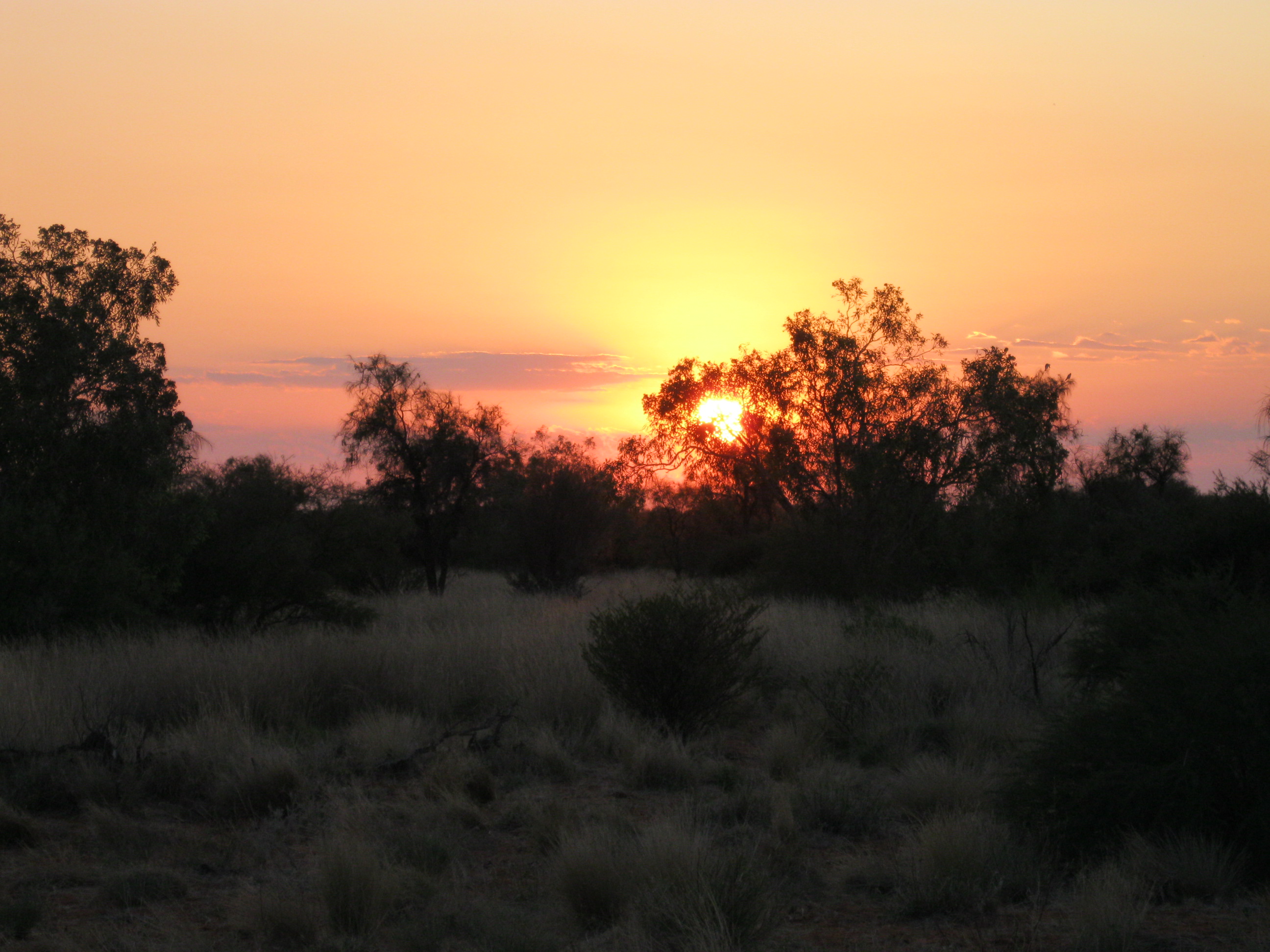 English: Sunrise at Windorah, Queensland, Aust...