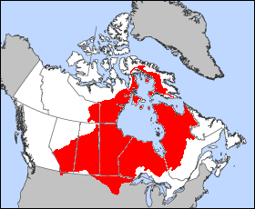 Einzugsgebiet der Hudson Bay (rot)