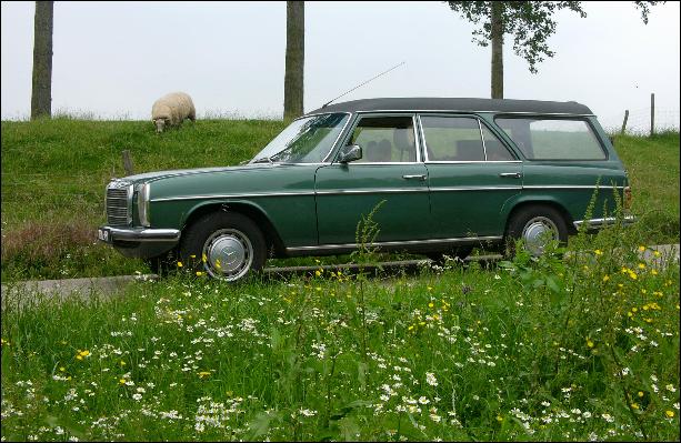  were many other Mercedes wagons before the TE TD debuted with the W123 