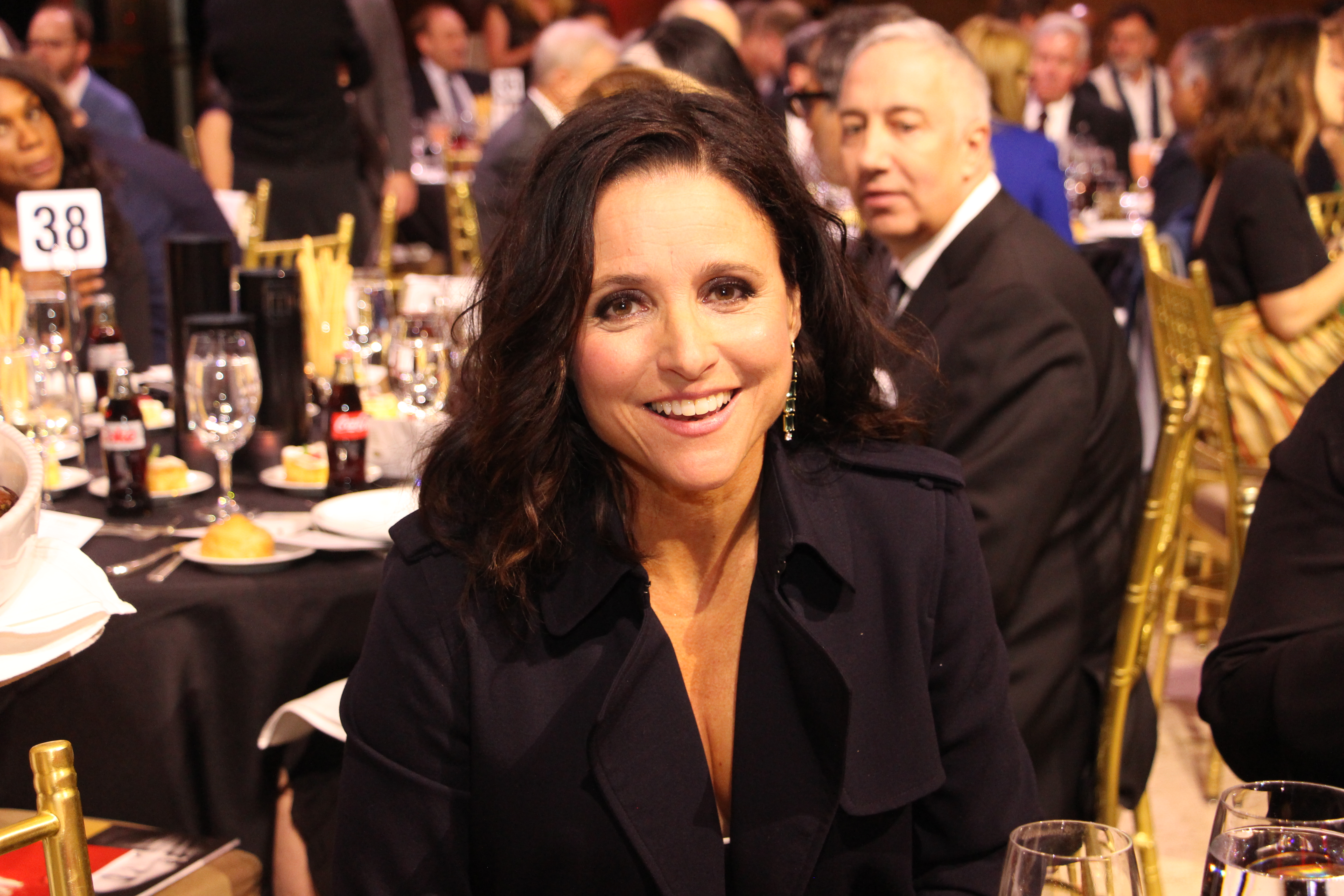 Julia louis dreyfus swinger