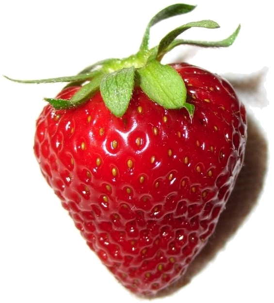 Can I give my dog strawberries?
