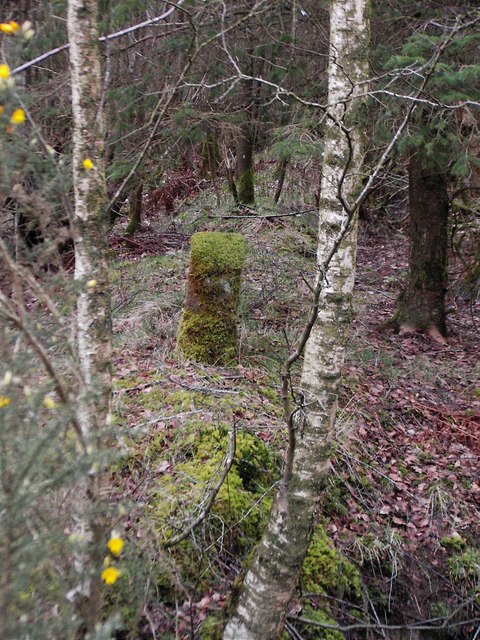 [Image: Scots_Dyke_boundary_stone_-_geograph.org...353338.jpg]