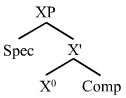 X-bar struktura