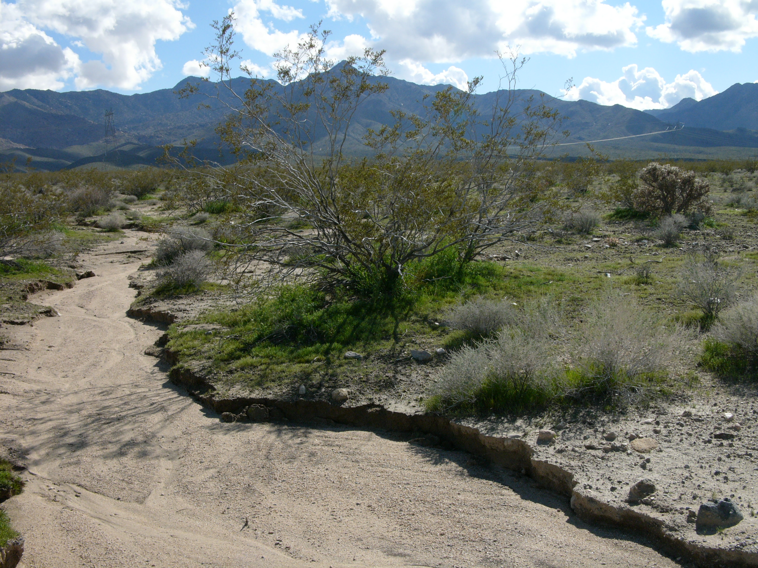 Description Dry river bed in California.jpg