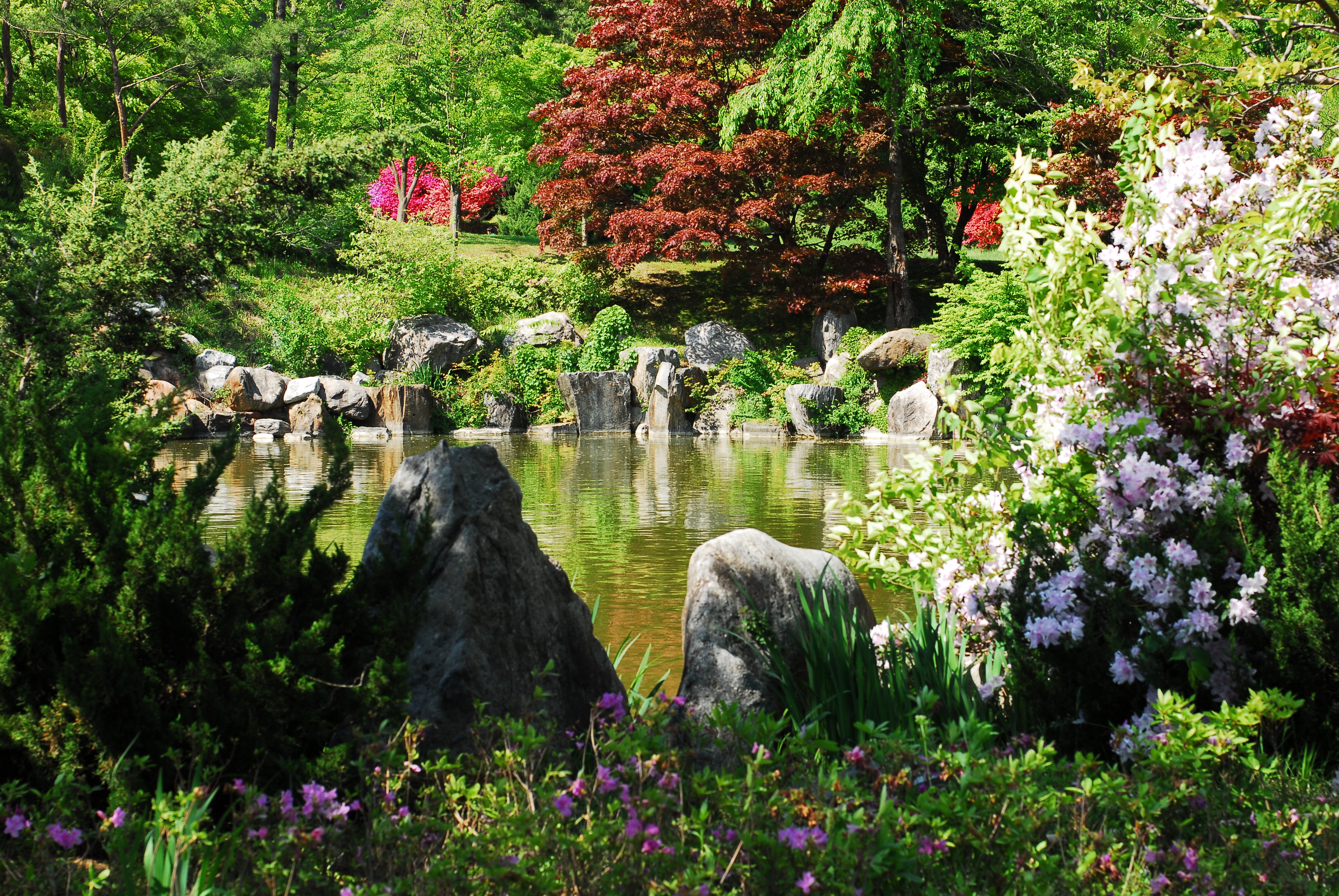 Korea-Asan-Spring_garden_near_Hyeonchungsa-01.jpg